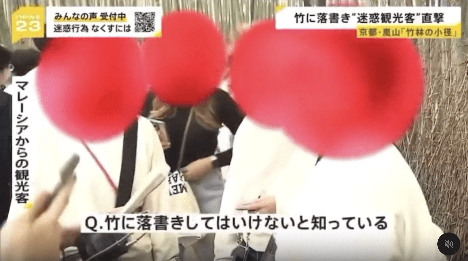 Msians interviewed by reporter