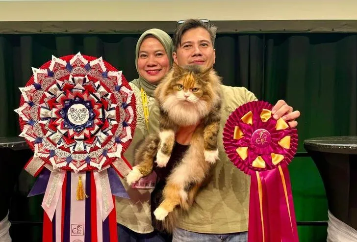 msians with their cat baby