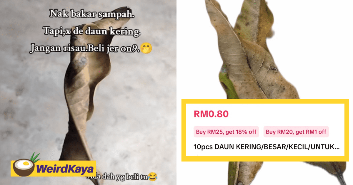 M'sian Sells Dried Leaves For 80 Sen & So Far, 64 People Have Already Bought Them