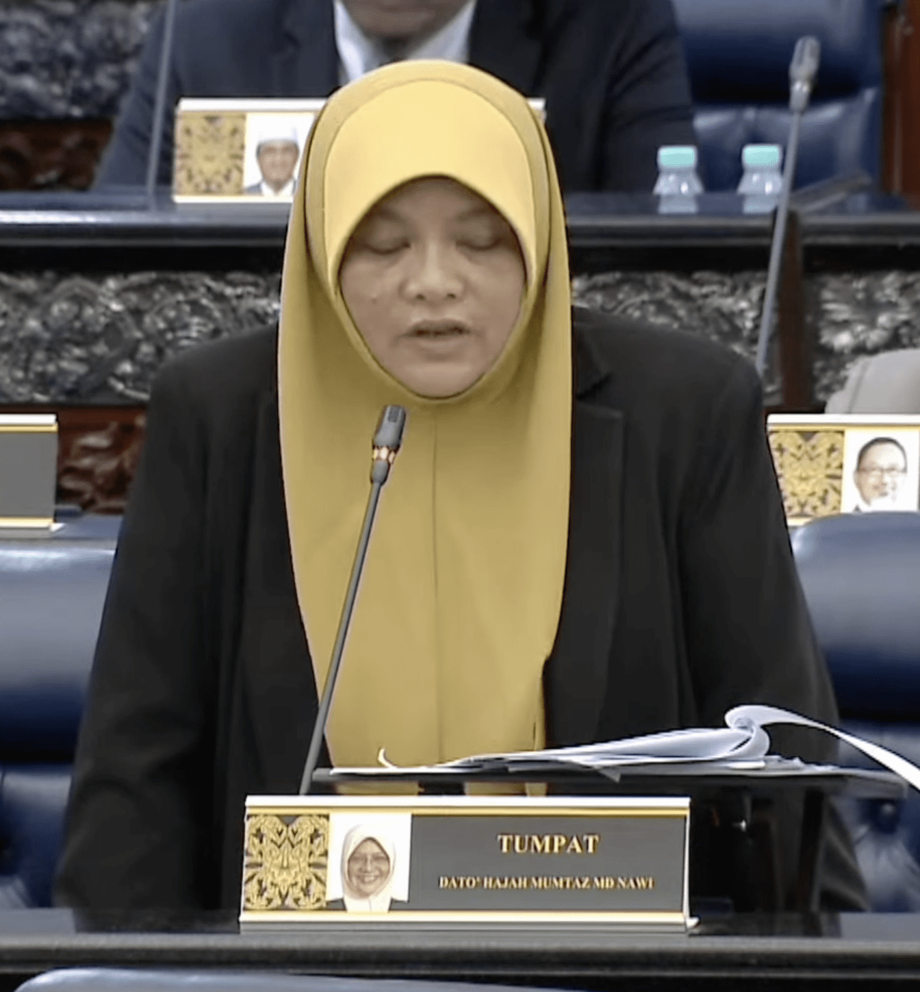 Mumtaz Md Nawi 2