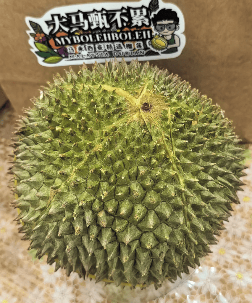 Musang King Durian In China, Exported from Malaysia 01