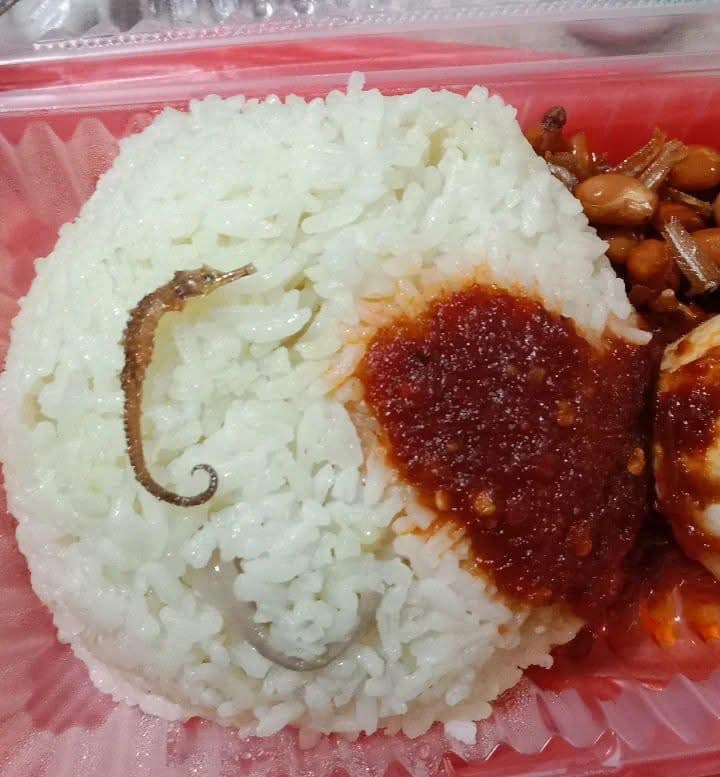 Nasi Lemak Sea Horse