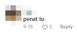 netizen comment2