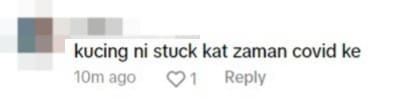 netizen comment 2 (25)
