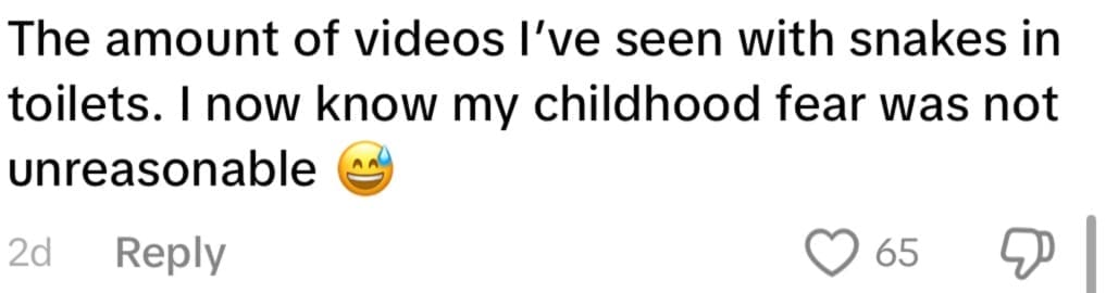 NETIZEN COMMENT SNAKE 2