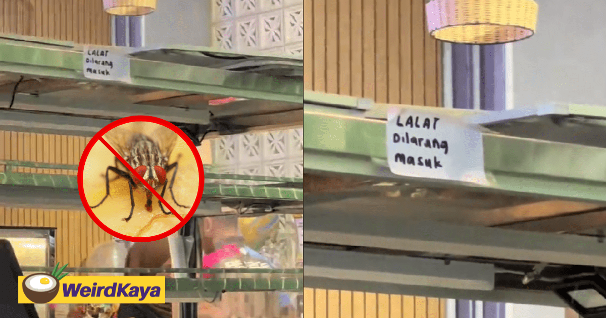 'No Flies Allowed!' – Sarawak Restaurant's 'Special' Notice Leaves Netizens In Stitches