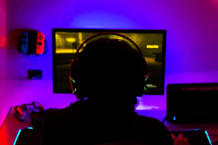 online gamer