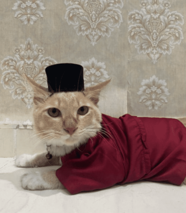 Oyen missing found in Selangor (2)