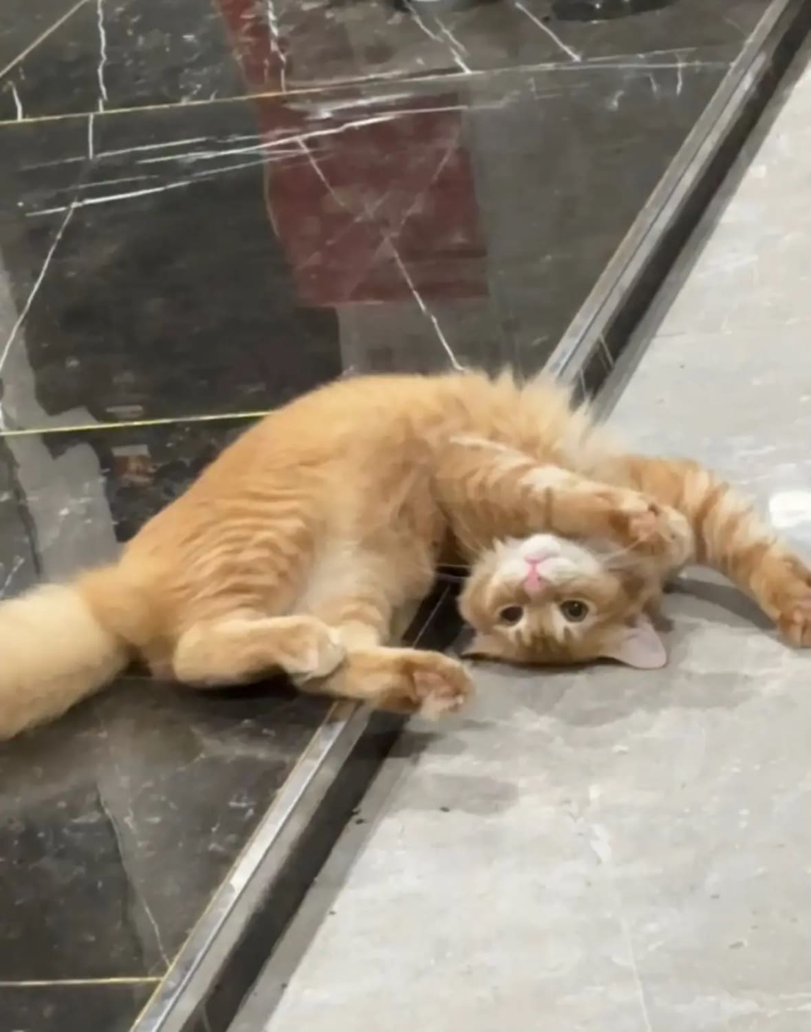 oyen stretches