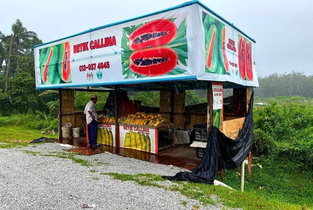 papaya stall by the roadside