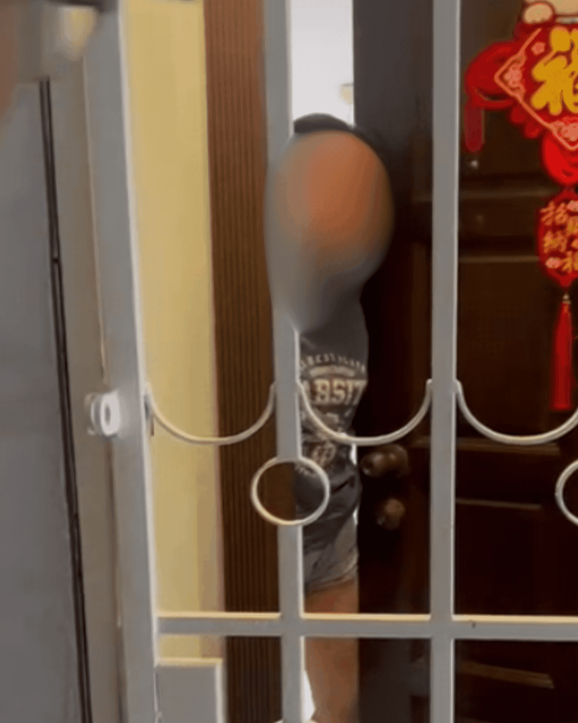 Pet sitter coming out