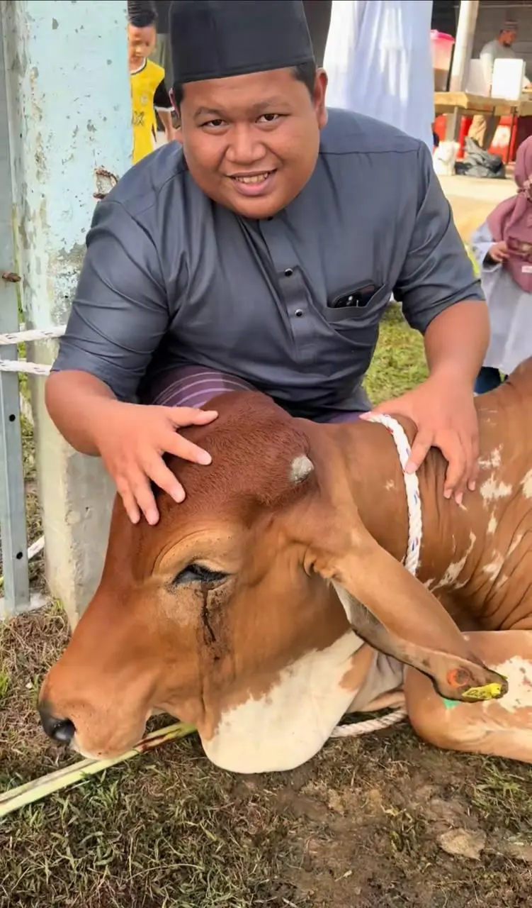 haiwan korban menangis