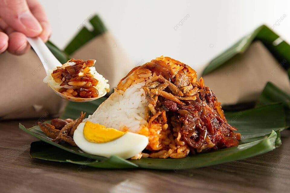 pngtree Nasi Lemak bungkus