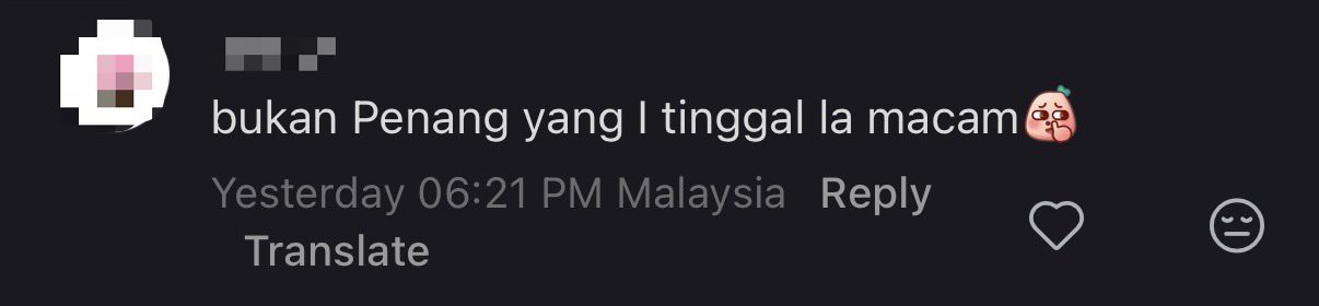 'You Sure?' — Johorian Says Penang Drivers Are 'Polite' But Netizens Aren't Convinced comment 1