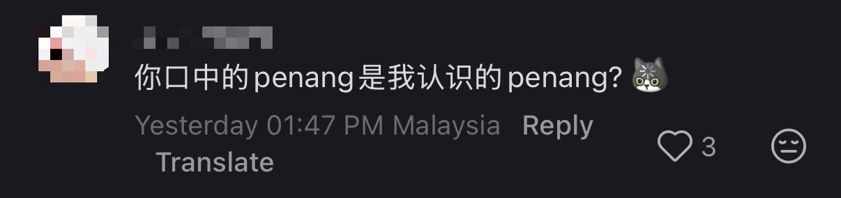 'You Sure?' — Johorian Says Penang Drivers Are 'Polite' But Netizens Aren't Convinced comment 2