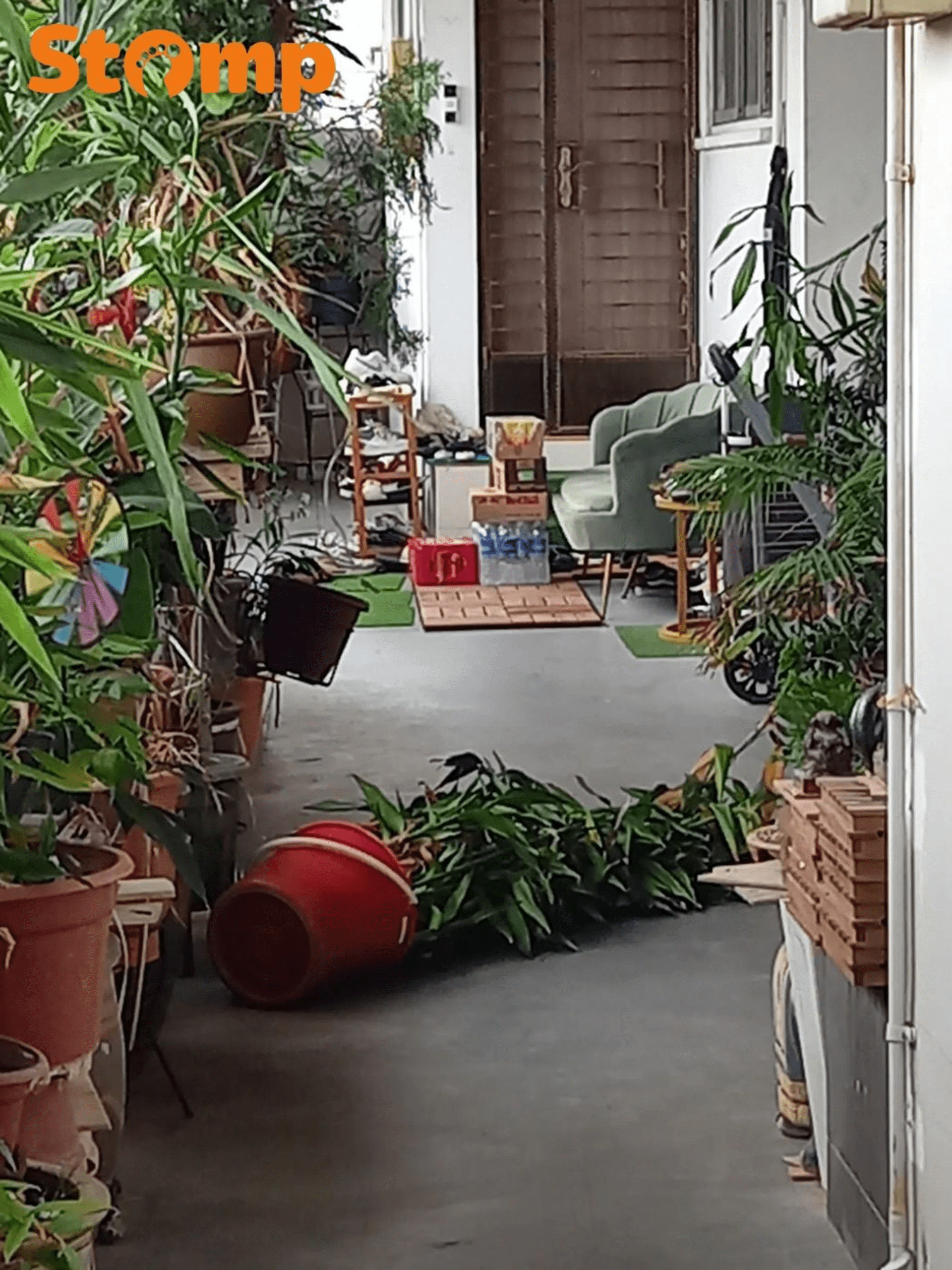 Potted plant in the middle of walkway