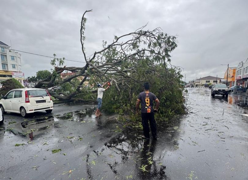 Protectdickson tree fallen due to senyar