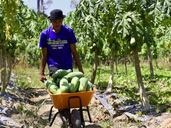 Qayyum Zunkurnain earning RM12k