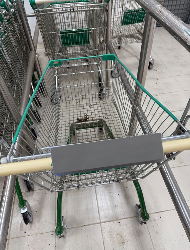 Rat carcass inside trolley