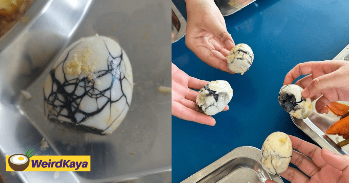 Rotten egg served to students cover