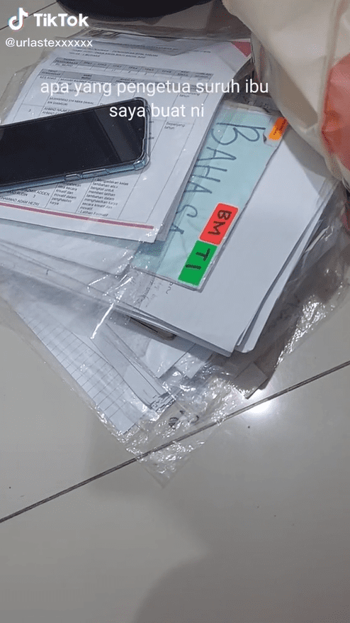 M'sian girl's mum quits as a teacher