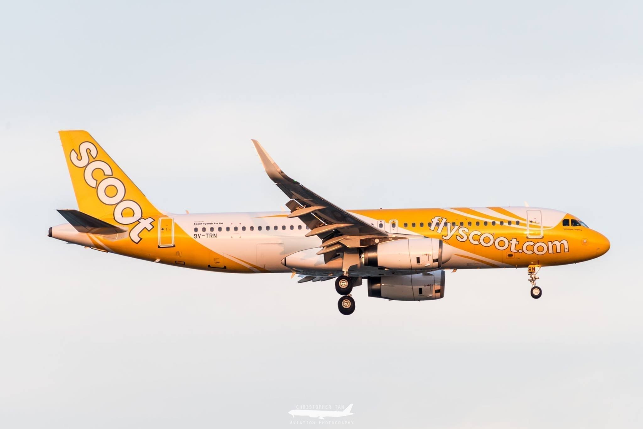 Scoot plane flying in the sky