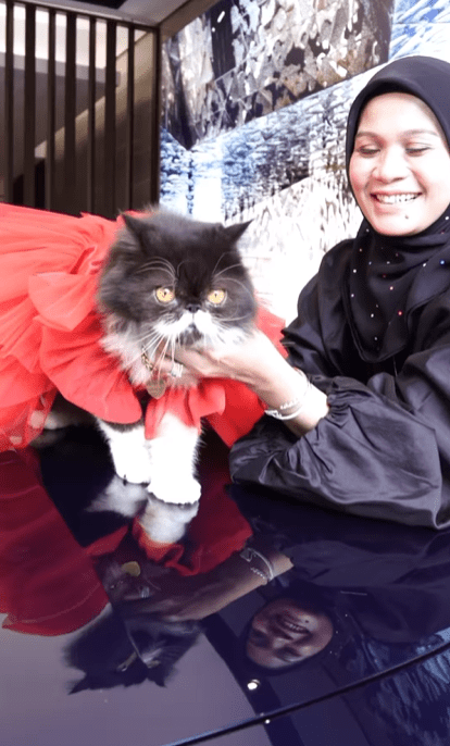 Haliza Maysuri gifts pet cat with BMW i7