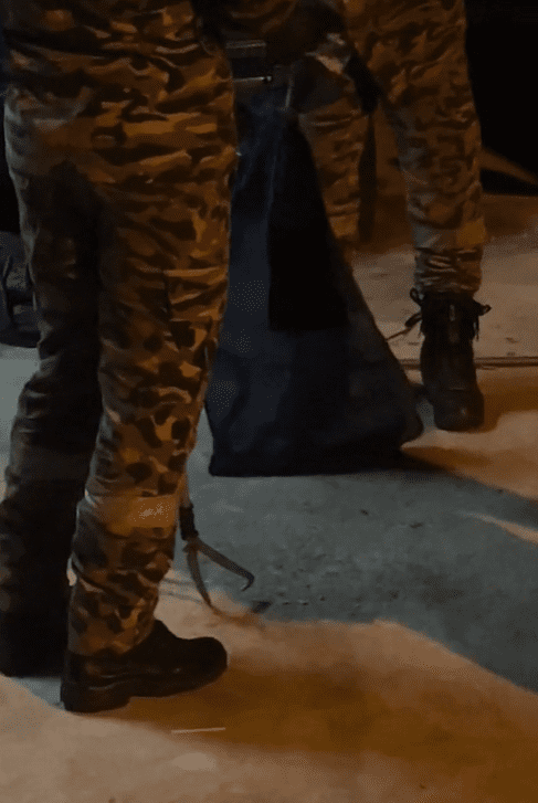 M'sian Mum Saves 4 Sleeping Kids from Cobra That Invaded Their House At Midnight