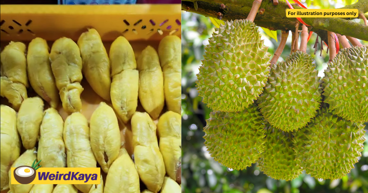 “Selling Durian Is A Losing Game Now” - M’sian Vendor Says She Lost RM5K Despite Working Exhaustively