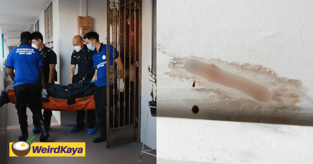 SG Resident Sees Blood Seep Through Ceiling, Later Discovers It Was From Neighbour's Rotting Body