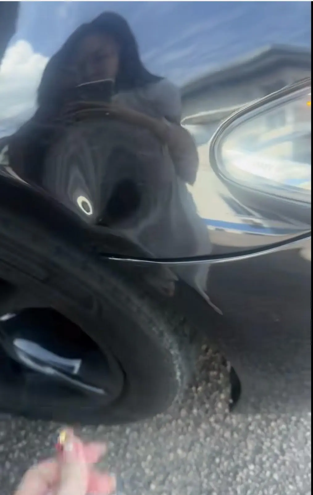 SG-Registered Car driver kicks car