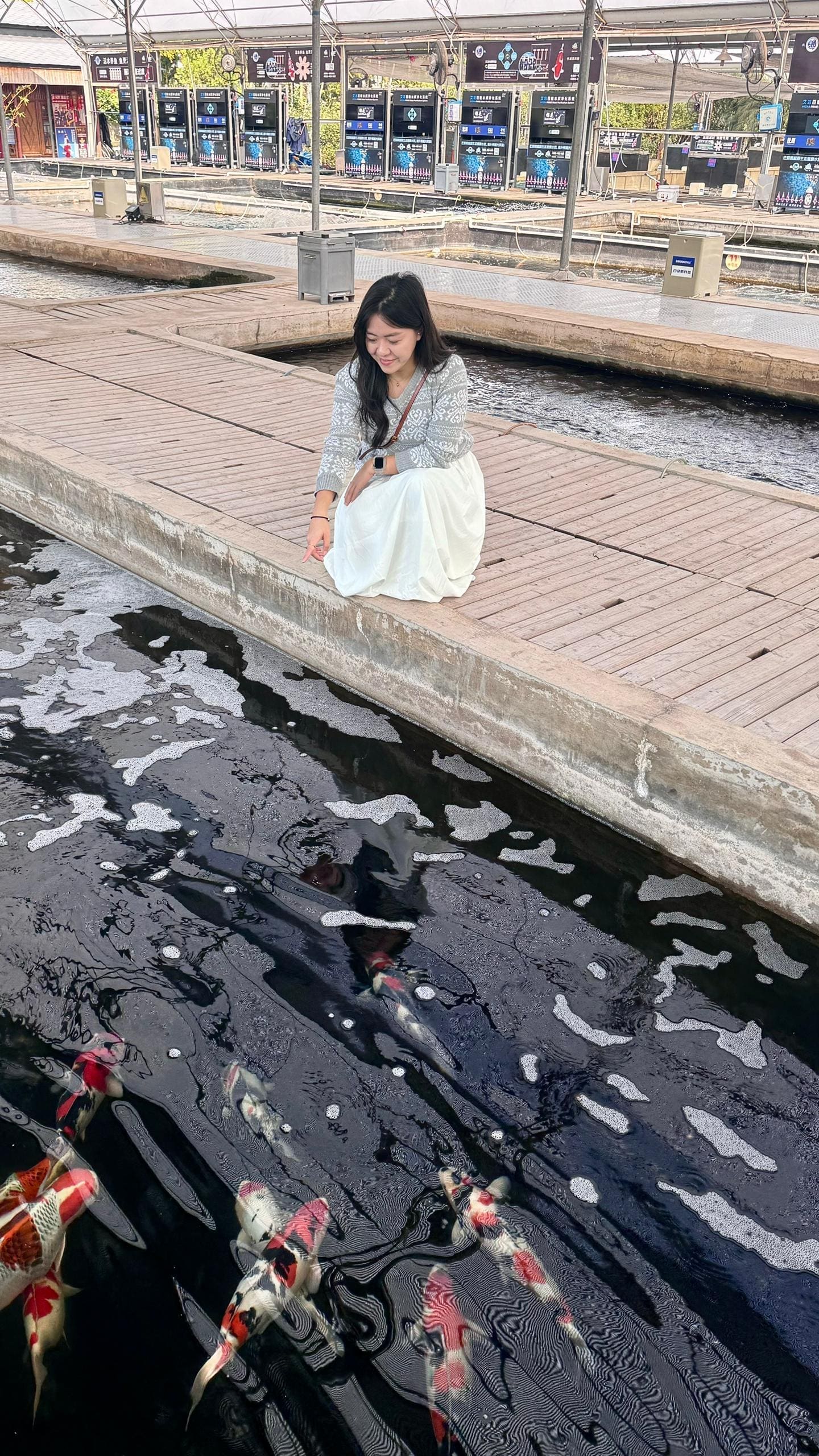 Sim with Koi fish