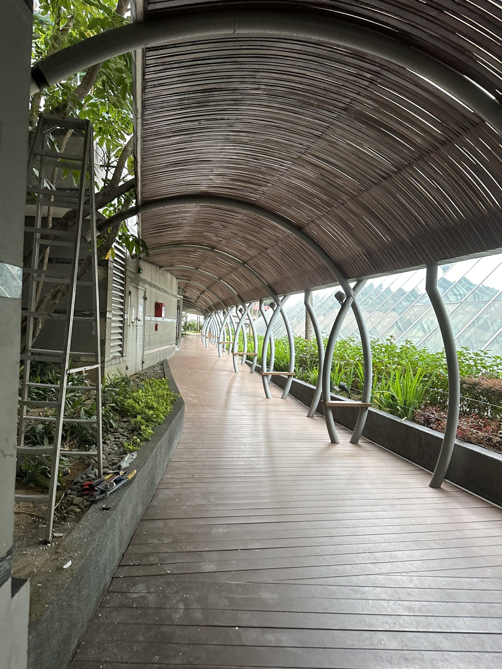 skywalk
