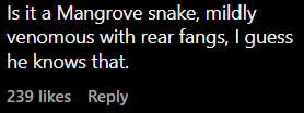 Snake latched on men crouches Screenshot 2025-01-25 142829 (6)