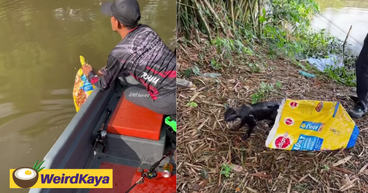 'So Cruel!' - Newborn Kitten Found Wrapped In A Bag And Thrown Into River In Penang