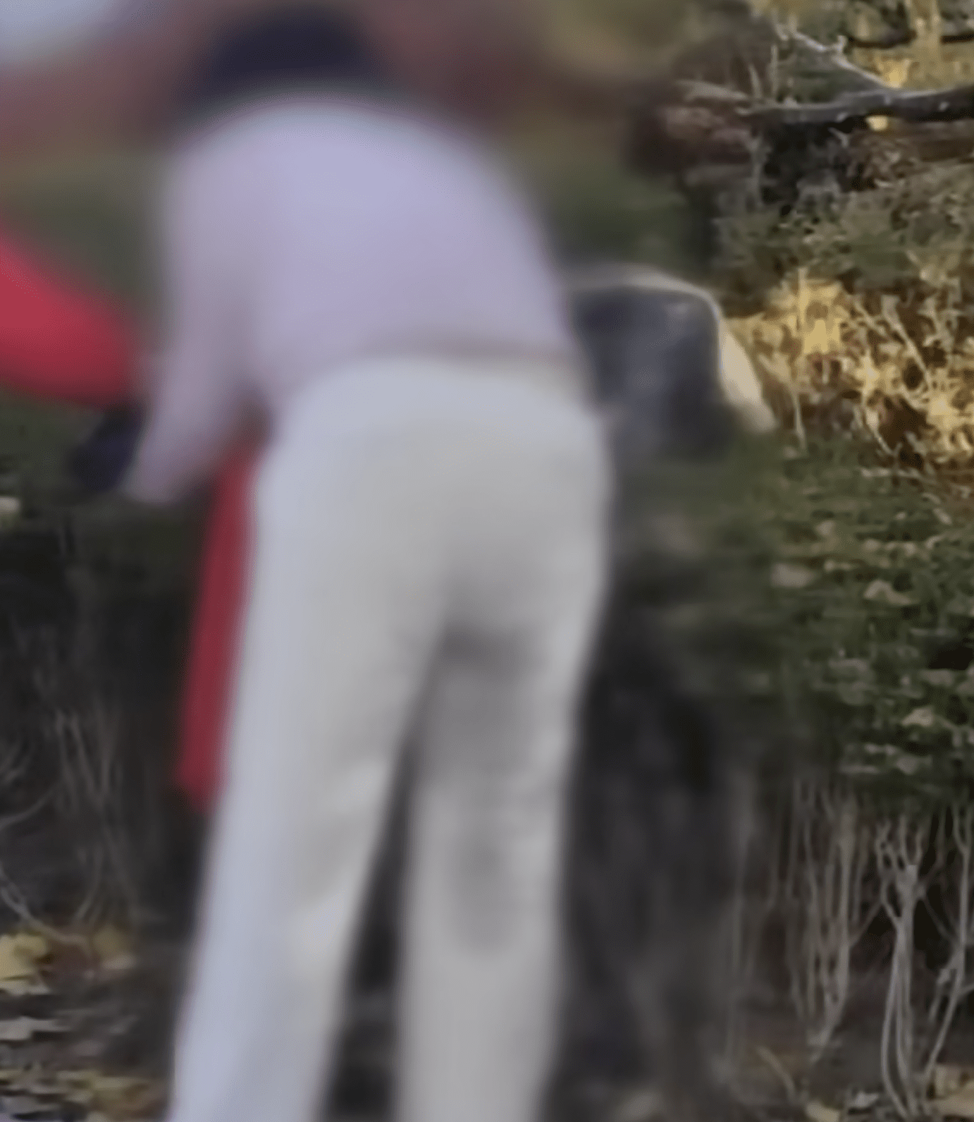 stain on pants of China auntie pooping at Gyeongbokgung