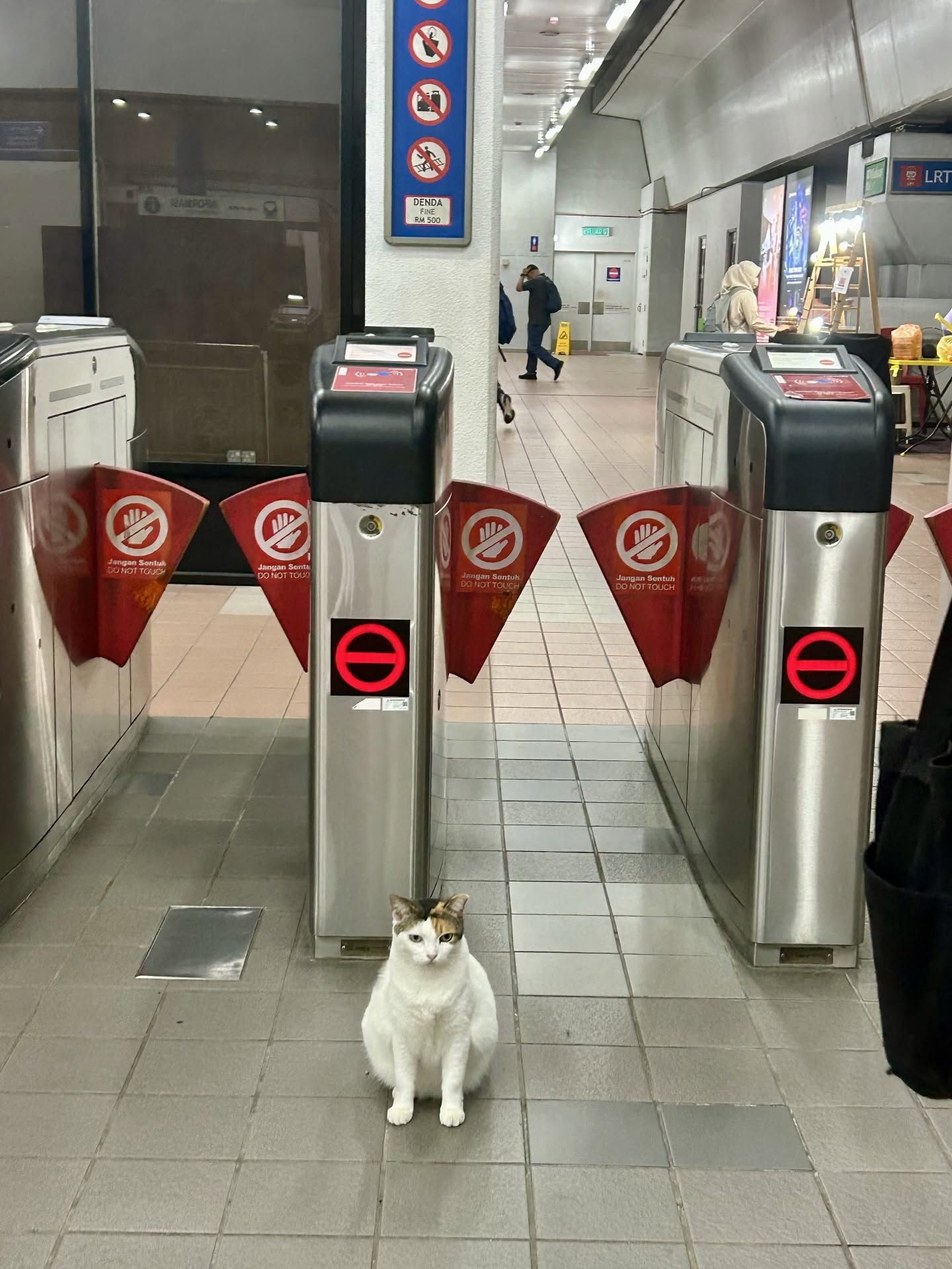 This Chubby Cat Working At LRT Wangsa Maju Has M'sians Obsessed With Its Daily Routine