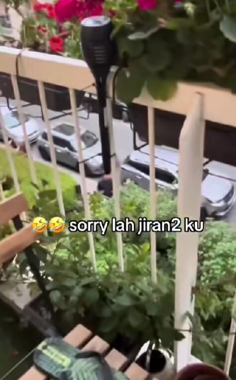 tiktok screenshot