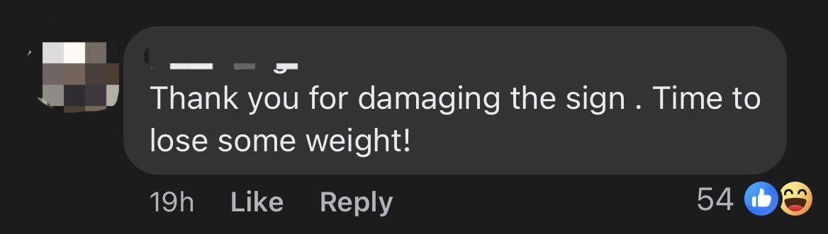 Female Tourist Hangs From Road Sign In M'sia Like It's A Monkey Bar & Bends It Sideways comment 1