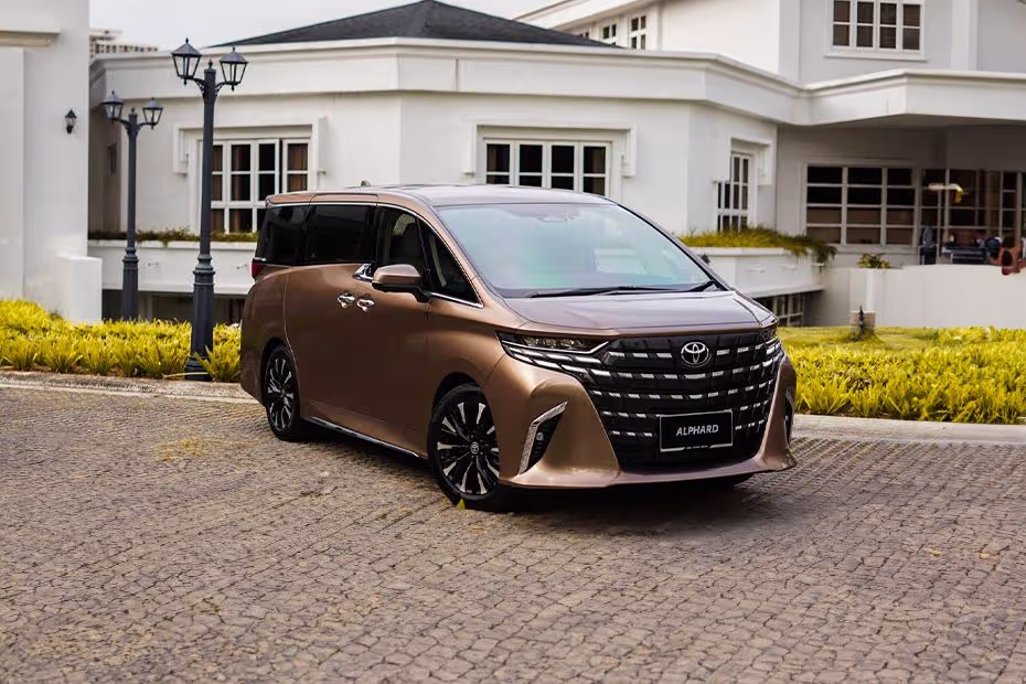alphard brown