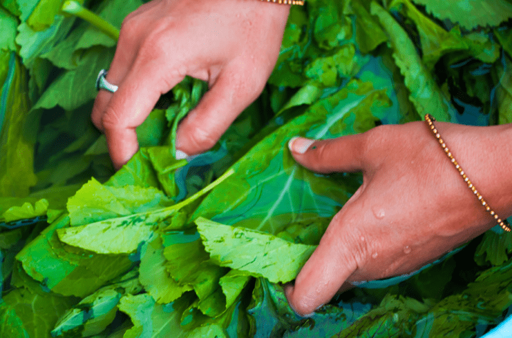 Veges being washed
