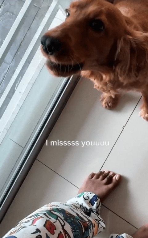 Vella greets Thivya who returned home after 3 weeks