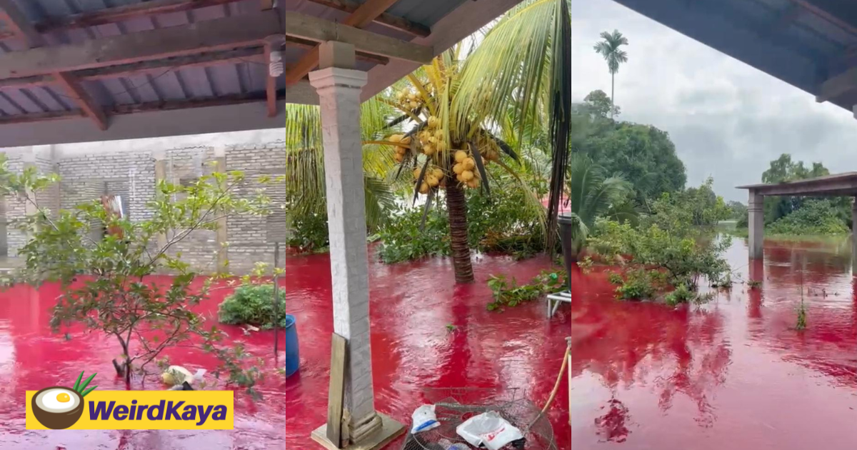 Viral Clip Shows Bright Red Floodwaters In K'tan, Was Caused By Nearby Chili Sauce Factory