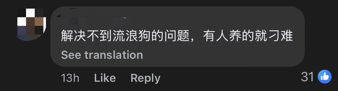 M'sian Woman Gets Warning Letter From Kluang Municipal Council For Having A Dog Without Neighbours' Permission comment 3