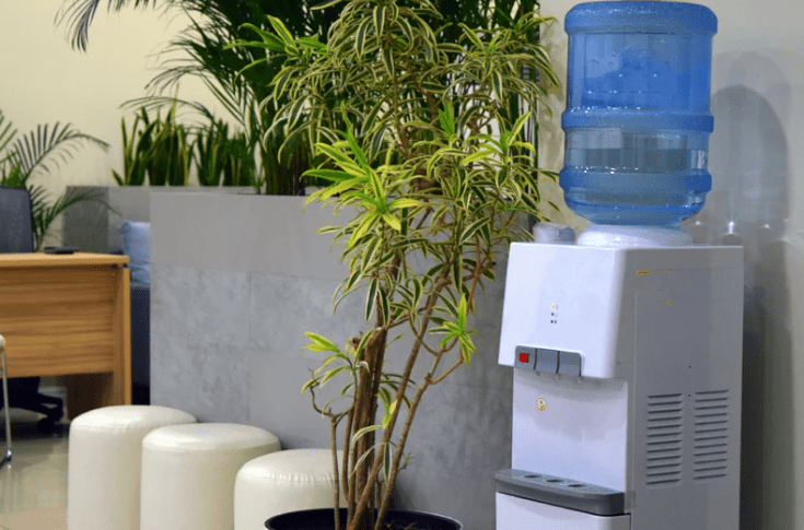 Water dispenser