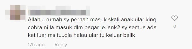 M'sian Mum Saves 4 Sleeping Kids from Cobra That Invaded Their House At Midnight comment 3