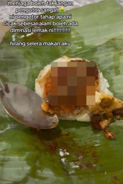 M'sian Woman Left Disgusted To Find Dead Lizard Inside Nasi Lemak