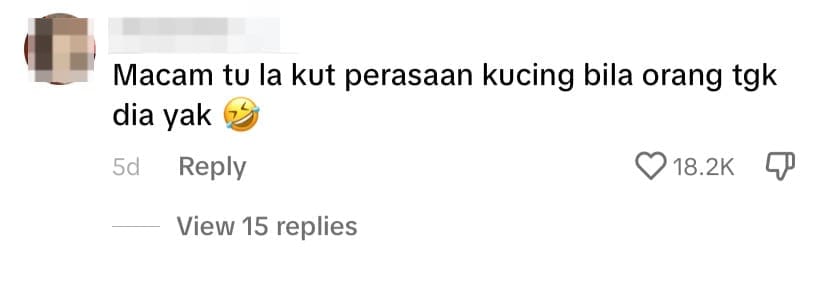 M’sian Man Can’t Poop In Peace With A Cat Intently Watching Him - comment