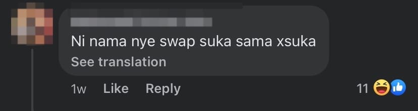 Netizen comment 3