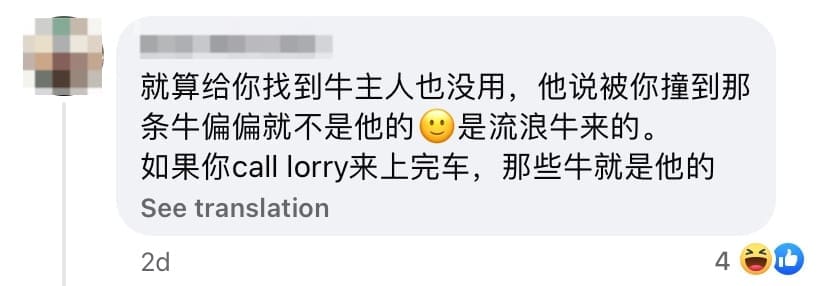 netizen comment